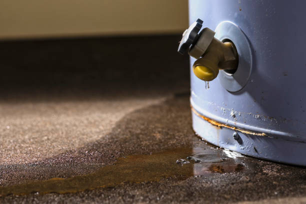 Professional Water damage restoration in WI