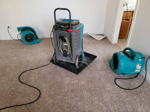 Best Commercial water damage restoration  in Menasha, WI