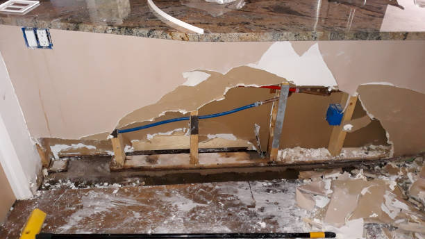 Best Carpet water damage restoration  in Menasha, WI