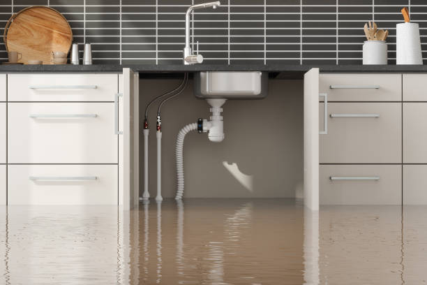 Best Mold removal after water damage  in Menasha, WI