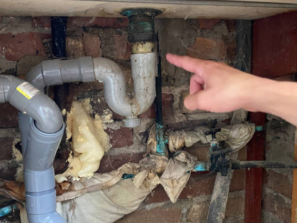 Best Flooded house restoration  in Menasha, WI