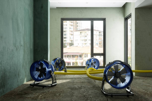 Best Local water damage restoration  in Menasha, WI